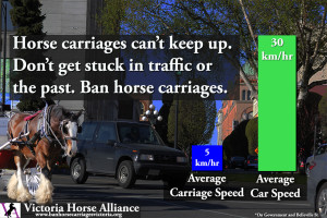 Victoria horse carriages