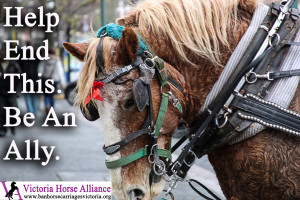 Victoria Horse Carriages