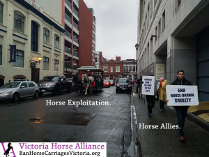 Victoria horse carriages