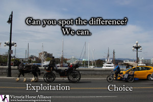 Victoria Horse Carriages