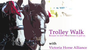 ban horse carriages victoria