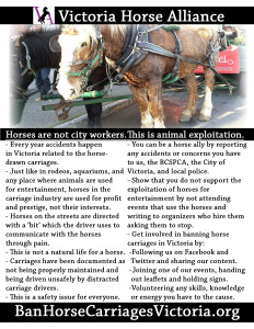 Ban Horse Carriages Victoria
