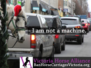 Victoria Horse Alliance