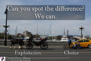 Horse Carriage Tour alternatives