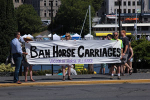 Victoria Horse Carriages