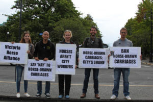 Victoria horse carriages