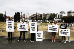 Victoria horse carriages