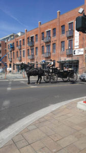 Victoria Horse Carriages