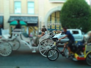 victoria horse carriages