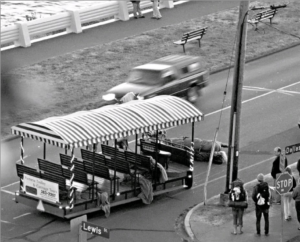 Victoria horse carriage